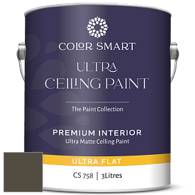 COLOR SMART CS 758 ULTRA CEILING PAINT ультраматовая краска цвет NCS S 8010-G90Y 