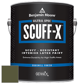 Benjamin Moore 485 Ultra Spec SCUFF-X Interior Eggshell Finish краска цвет NCS S 6530-G50Y 