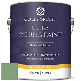 COLOR SMART CS 758 ULTRA CEILING PAINT ультраматовая краска цвет NCS S 3030-G20Y 
