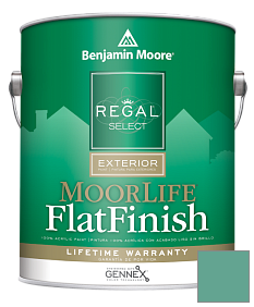 Краска Regal Select Exterior Paint-MoorLife Flat Finish (W105) цвет 649 Captivating Teal