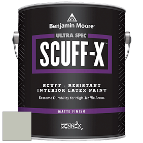 Benjamin Moore 484 Ultra Spec SCUFF-X Interior Matte Finish краска цвет NCS S 1555-R90B 
