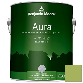 Краска Aura Waterborne Exterior Flat Finish (629) цвет 413 Blooming Grove