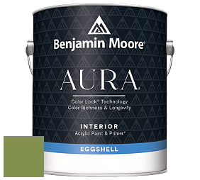 Benjamin Moore Aura 524 Waterborne Interior Eggshell Finish краска цвет NCS S 3050-G40Y 
