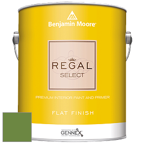 Benjamin Moore 547 Regal Select Waterborne Interior Flat Finish краска цвет NCS S 3060-G30Y 