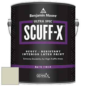 Benjamin Moore 484 Ultra Spec SCUFF-X Interior Matte Finish краска цвет HC-117 BM HC-117