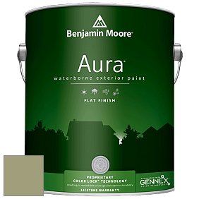 Benjamin Moore Aura 629 Waterborne Exterior Flat Finish краска цвет AF-405 