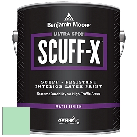 Benjamin Moore 484 Ultra Spec SCUFF-X Interior Matte Finish краска цвет NCS S 0530-G 