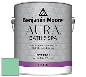 Benjamin Moore Aura 532 Bath & Spa Waterborne Interior Paint Matte Finish краска цвет NCS S 1040-G 