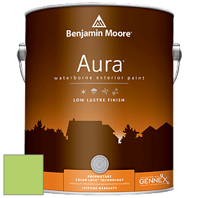 Benjamin Moore Aura 634 Waterborne Exterior Low Lustre Finish краска цвет 2031-40 Spring Meadow Green