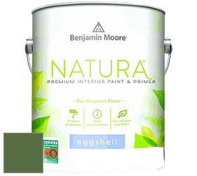 Benjamin Moore 513 Natura Interior Eggshell Finish краска с блеском цвет NCS S 5040-G30Y 