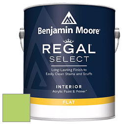 Benjamin Moore 547 Regal Select Waterborne Interior Flat Finish краска цвет 2031-40 Spring Meadow Green