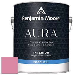 Benjamin Moore Aura 524 Waterborne Interior Eggshell Finish краска цвет NCS S 1050-R20B 