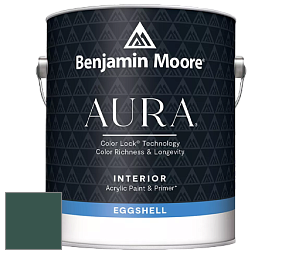 Benjamin Moore Aura 524 Waterborne Interior Eggshell Finish краска цвет 2047-10 Forest Green