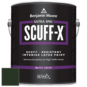 Benjamin Moore 484 Ultra Spec SCUFF-X Interior Matte Finish краска цвет RAL 6007 