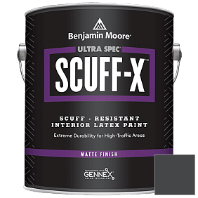 Краска Ultra Spec SCUFF-X Interior Matte Finish (484) цвет 2132-10 Black