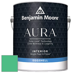 Benjamin Moore Aura 524 Waterborne Interior Eggshell Finish краска цвет NCS S 1060-G 