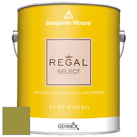 Benjamin Moore 547 Regal Select Waterborne Interior Flat Finish краска цвет 2146-20 Forest Moss