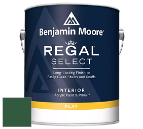 Benjamin Moore 547 Regal Select Waterborne Interior Flat Finish краска цвет NCS S 5540-G10Y 