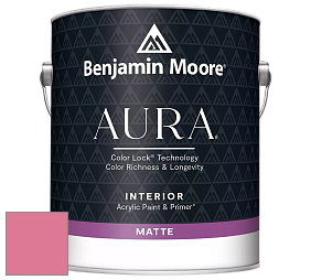 Benjamin Moore Aura 522 Interior Paint - Matte краска цвет 2003-40 True Pink