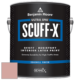 Benjamin Moore 485 Ultra Spec SCUFF-X Interior Eggshell Finish краска цвет NCS S 2020-Y90R 