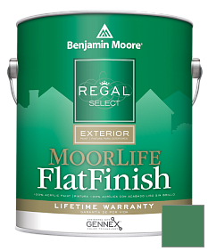 Краска Regal Select Exterior Paint-MoorLife Flat Finish (W105) цвет 2038-20 Irish Clover