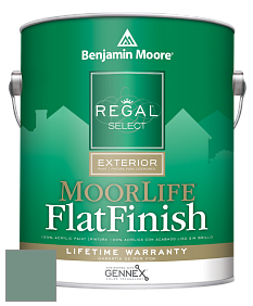 Benjamin Moore W105 Regal Select Exterior Paint-MoorLife Flat Finish краска цвет HC-136 BM HC-136