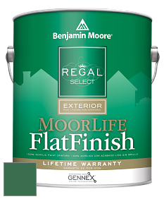 Benjamin Moore W105 Regal Select Exterior Paint-MoorLife Flat Finish краска цвет 2040-20 Green Meadows