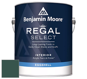 Benjamin Moore 549 Regal Select Waterborne Interior Eggshell Finish краска цвет 2047-10 Forest Green