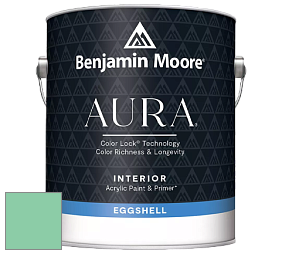 Benjamin Moore Aura 524 Waterborne Interior Eggshell Finish краска цвет NCS S 1040-G 