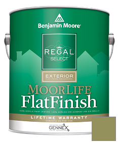 Краска Regal Select Exterior Paint-MoorLife Flat Finish (W105) цвет 539 Sycamore Tree