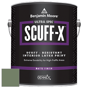 Benjamin Moore 484 Ultra Spec SCUFF-X Interior Matte Finish краска цвет NCS S 5020-G30Y 