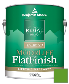 Краска Regal Select Exterior Paint-MoorLife Flat Finish (W105) цвет 2030-10 Lizard Green