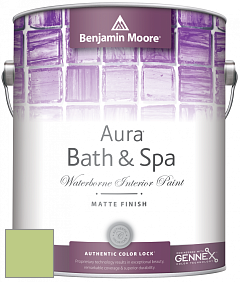Benjamin Moore Aura 532 Bath & Spa Waterborne Interior Paint Matte Finish краска цвет NCS S 1040-G40Y 