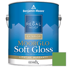Краска Regal Select Exterior Paint-Moor GloSoft Gloss Finish (W096) цвет 560 Sullivan Green