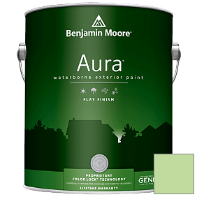 Краска Benjamin Moore Aura 629 Waterborne Exterior Flat Finish краска цвет 556 Sounds of Nature