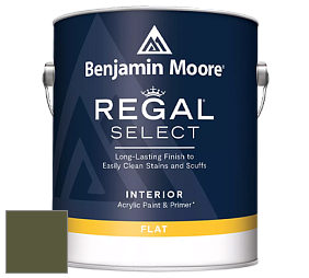 Benjamin Moore 547 Regal Select Waterborne Interior Flat Finish краска цвет NCS S 6530-G50Y 