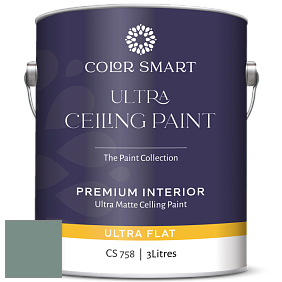 COLOR SMART CS 758 ULTRA CEILING PAINT ультраматовая краска цвет AC-20 BM AC-20