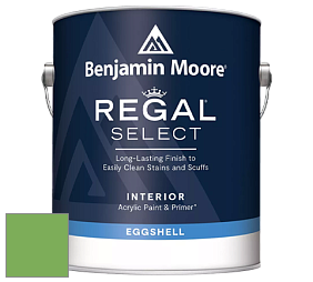 Benjamin Moore 549 Regal Select Waterborne Interior Eggshell Finish краска цвет 559 Paradise Valley