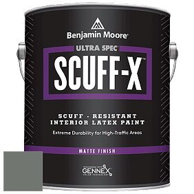 Benjamin Moore 484 Ultra Spec SCUFF-X Interior Matte Finish краска цвет NCS S 6005-G20Y 