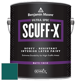 Benjamin Moore 484 Ultra Spec SCUFF-X Interior Matte Finish краска цвет NCS S 5540-B50G 
