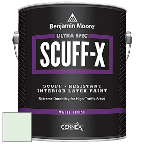 Benjamin Moore 484 Ultra Spec SCUFF-X Interior Matte Finish краска цвет NCS S 0510-G10Y 