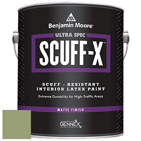 Benjamin Moore 484 Ultra Spec SCUFF-X Interior Matte Finish краска цвет NCS S 3030-G40Y 