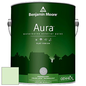 Benjamin Moore Aura 629 Waterborne Exterior Flat Finish краска цвет 2032-60 Citra Lime