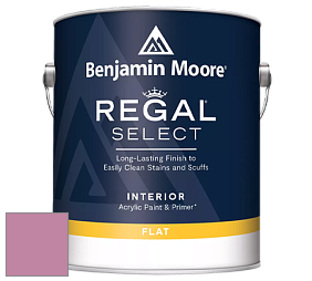 Benjamin Moore 547 Regal Select Waterborne Interior Flat Finish краска цвет NCS S 2040-R30B 