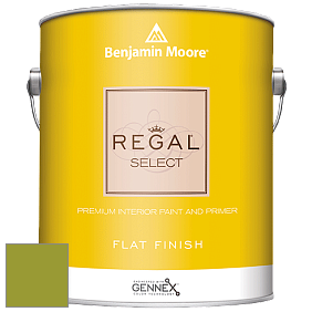 Benjamin Moore 547 Regal Select Waterborne Interior Flat Finish краска цвет NCS S 2070-G50Y 