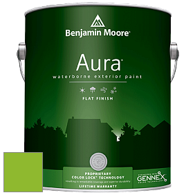 Benjamin Moore Aura 629 Waterborne Exterior Flat Finish краска цвет 2031-30 Sweet Pea