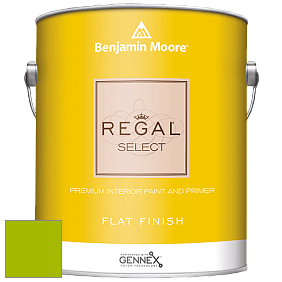 Benjamin Moore 547 Regal Select Waterborne Interior Flat Finish краска цвет 2026-10 Lime Green