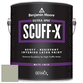 Benjamin Moore 484 Ultra Spec SCUFF-X Interior Matte Finish краска цвет HC-114 BM HC-114