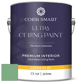 COLOR SMART CS 758 ULTRA CEILING PAINT ультраматовая краска цвет 2035-40 Stokes Forest Green