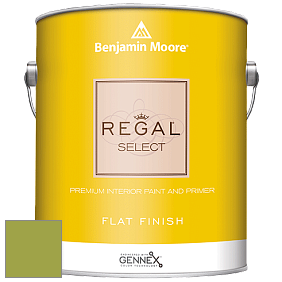 Benjamin Moore 547 Regal Select Waterborne Interior Flat Finish краска цвет NCS S 2060-G50Y 